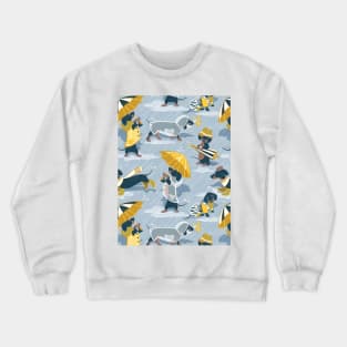 Ready For a Rainy Walk // pattern // pastel blue background dachshunds dogs with yellow and transparent rain coats Crewneck Sweatshirt